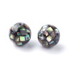 Paua 자개 10mm - 1개