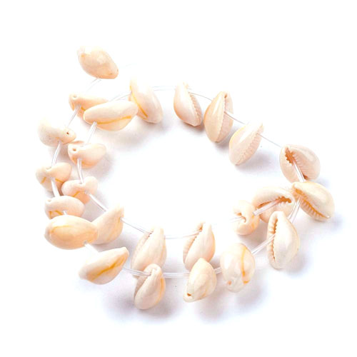 Cowrie 조개껍질 17~19x10~14mm - 1줄(약24개)