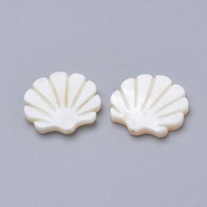 자개 조가비 27~29x28~30mm- 1개