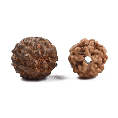 천연 Rudraksha 비즈 8~9.5x7~9.5mm - 10개