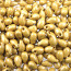 Long 물방울시드 5.5x3mm 4202F번 - 10g(약120개)