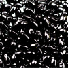 Long 물방울시드 5.5x3mm 401번 - 10g(약120개)