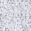 시드비즈 1.5mm 131FR번 - 3g (약 720개)