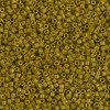 델리카비즈 1.6mm(DB2141번 : Spanish Olive Duracoat Opq. Dyed) - 3g