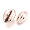 Cowrie 조개껍질 14~20x9~14mm - 1개