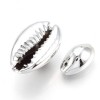 Cowrie  조개껍질 14~20x9~14mm 또는 7~10mm - 1개